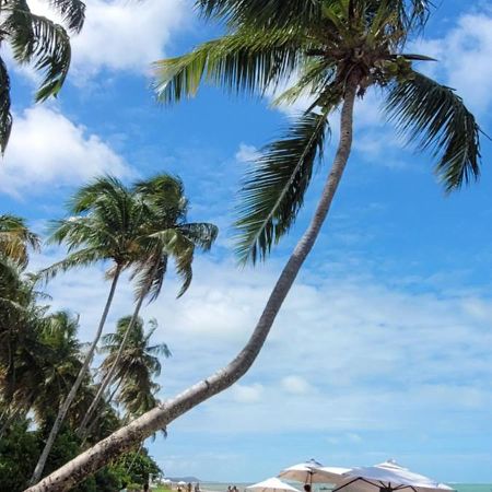 Apartmán Patacho Deslumbrante! Pôrto de Pedras Exteriér fotografie
